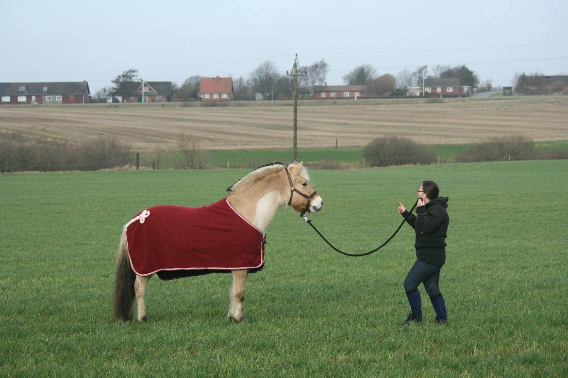 Tjalfe i uldtæppe! :') billede 3