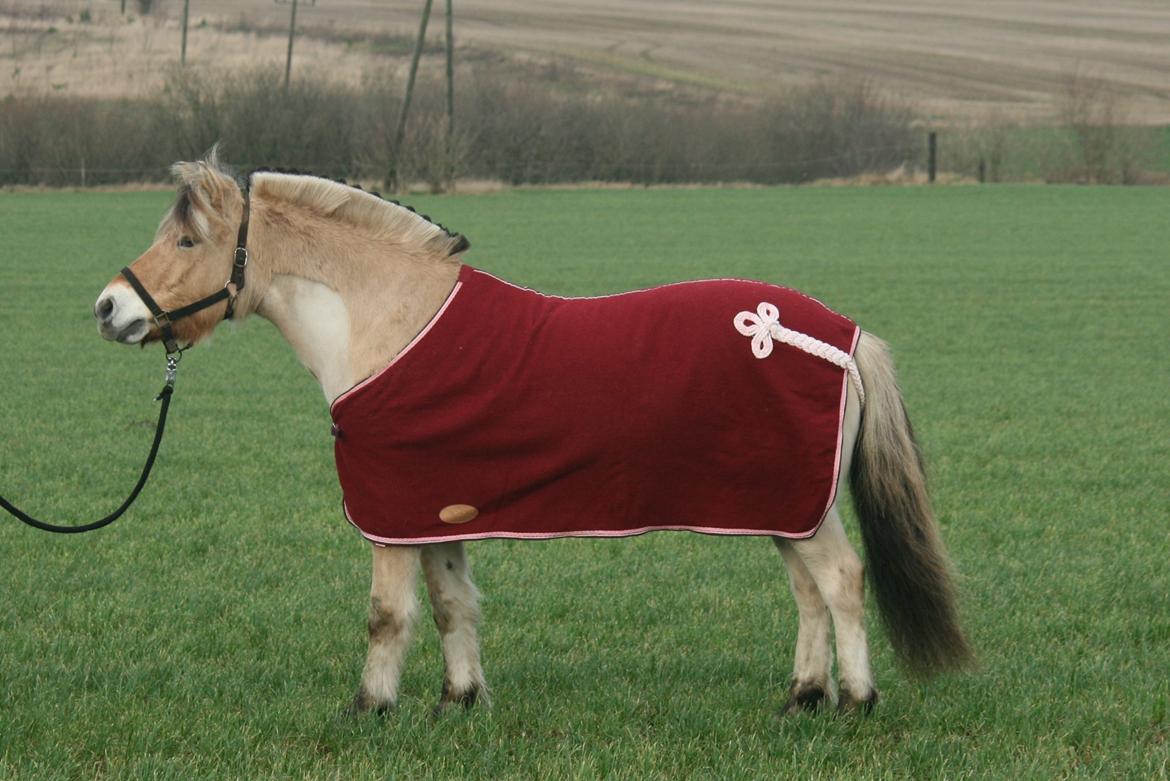 Tjalfe i uldtæppe! :') billede 4