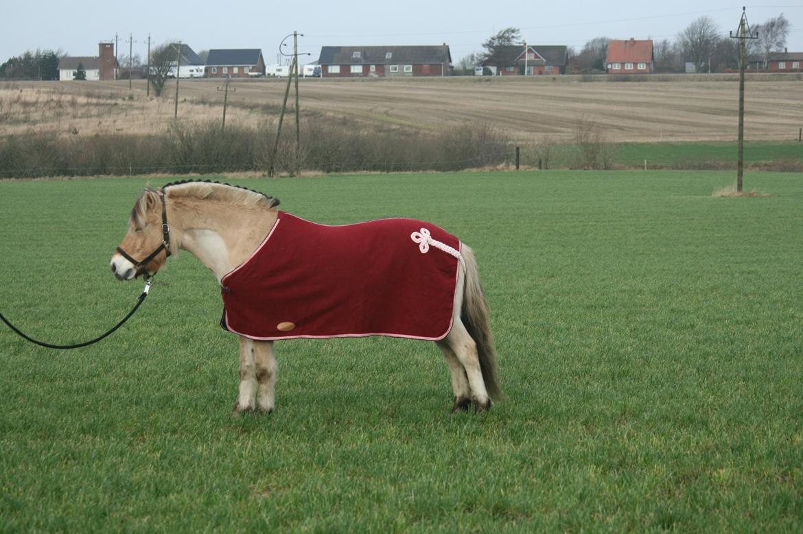 Tjalfe i uldtæppe! :') billede 5