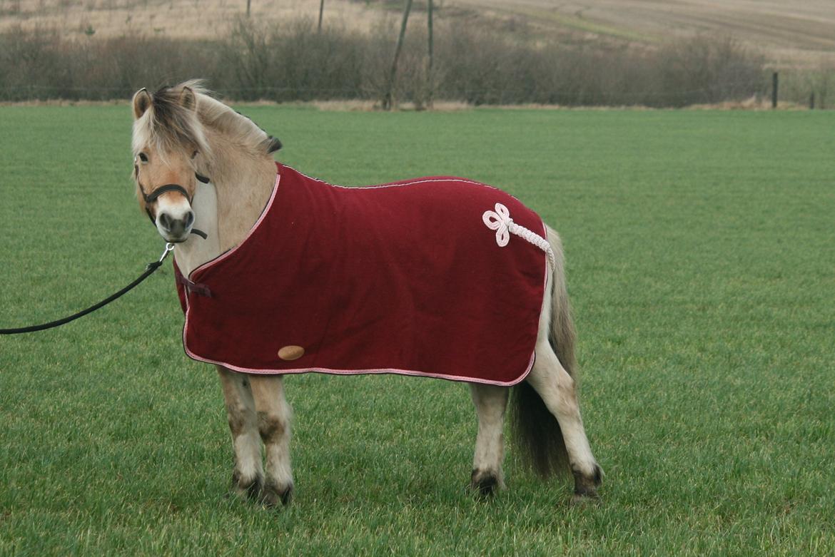 Tjalfe i uldtæppe! :') billede 1