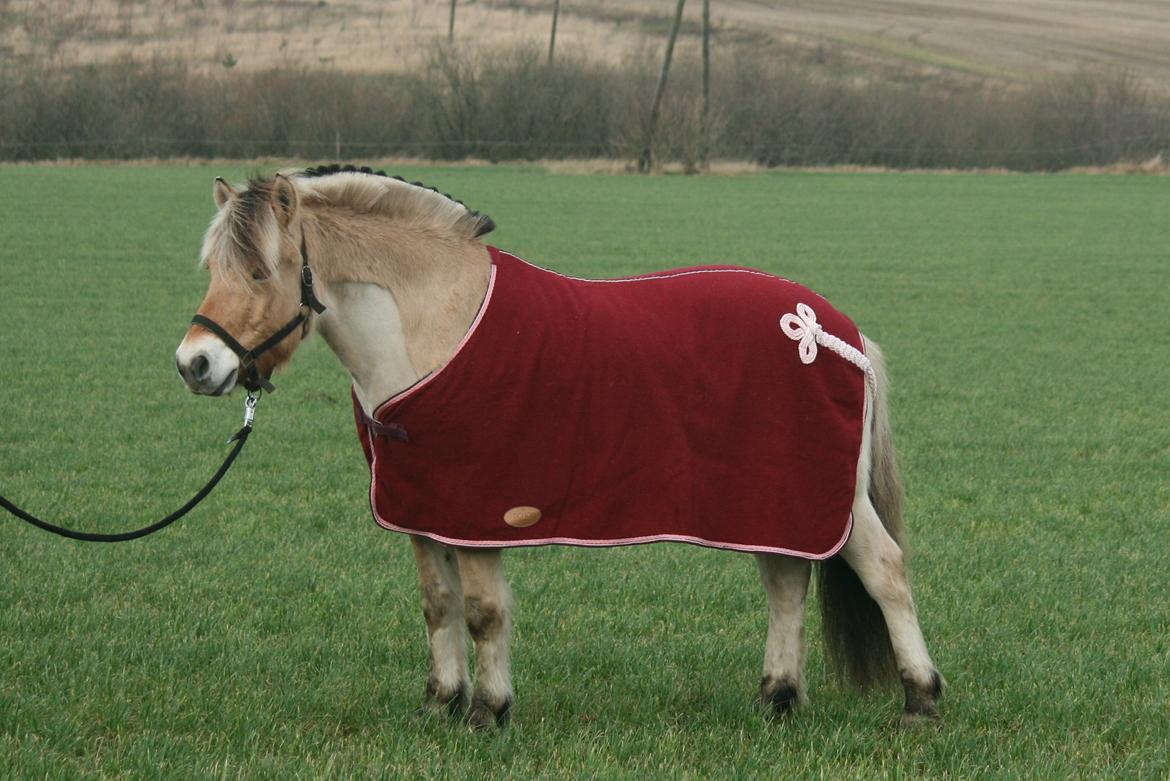 Tjalfe i uldtæppe! :') billede 6