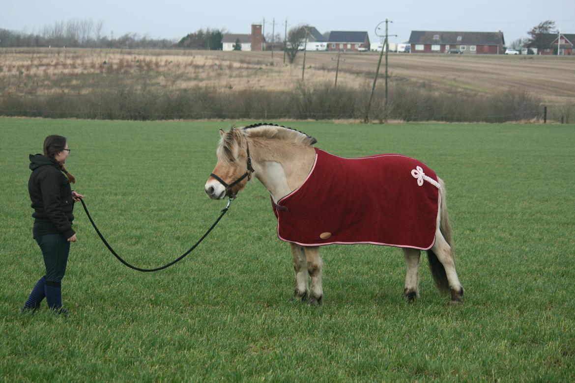 Tjalfe i uldtæppe! :') billede 7