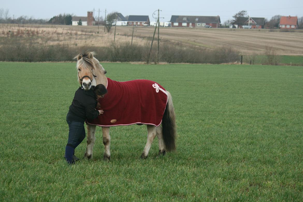 Tjalfe i uldtæppe! :') billede 8