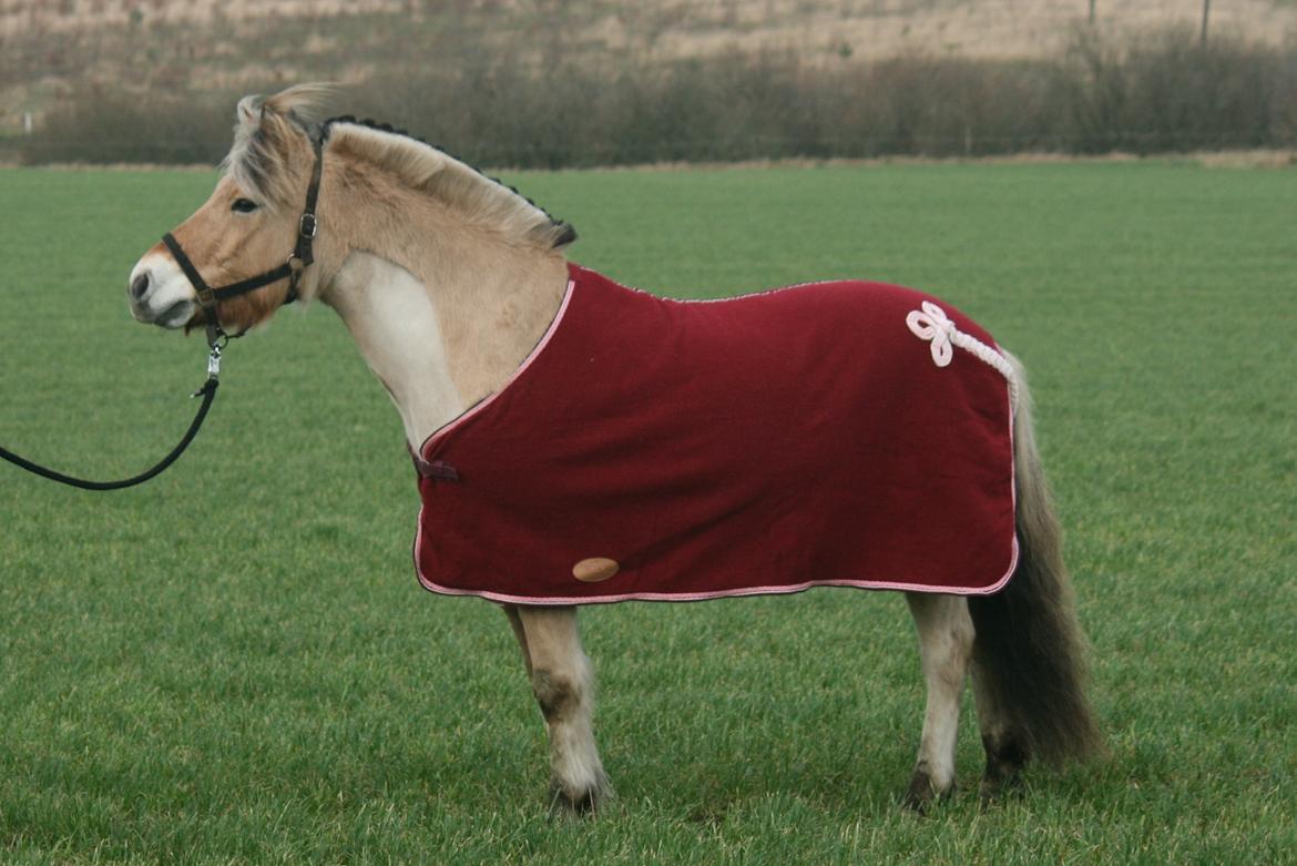 Tjalfe i uldtæppe! :') billede 9