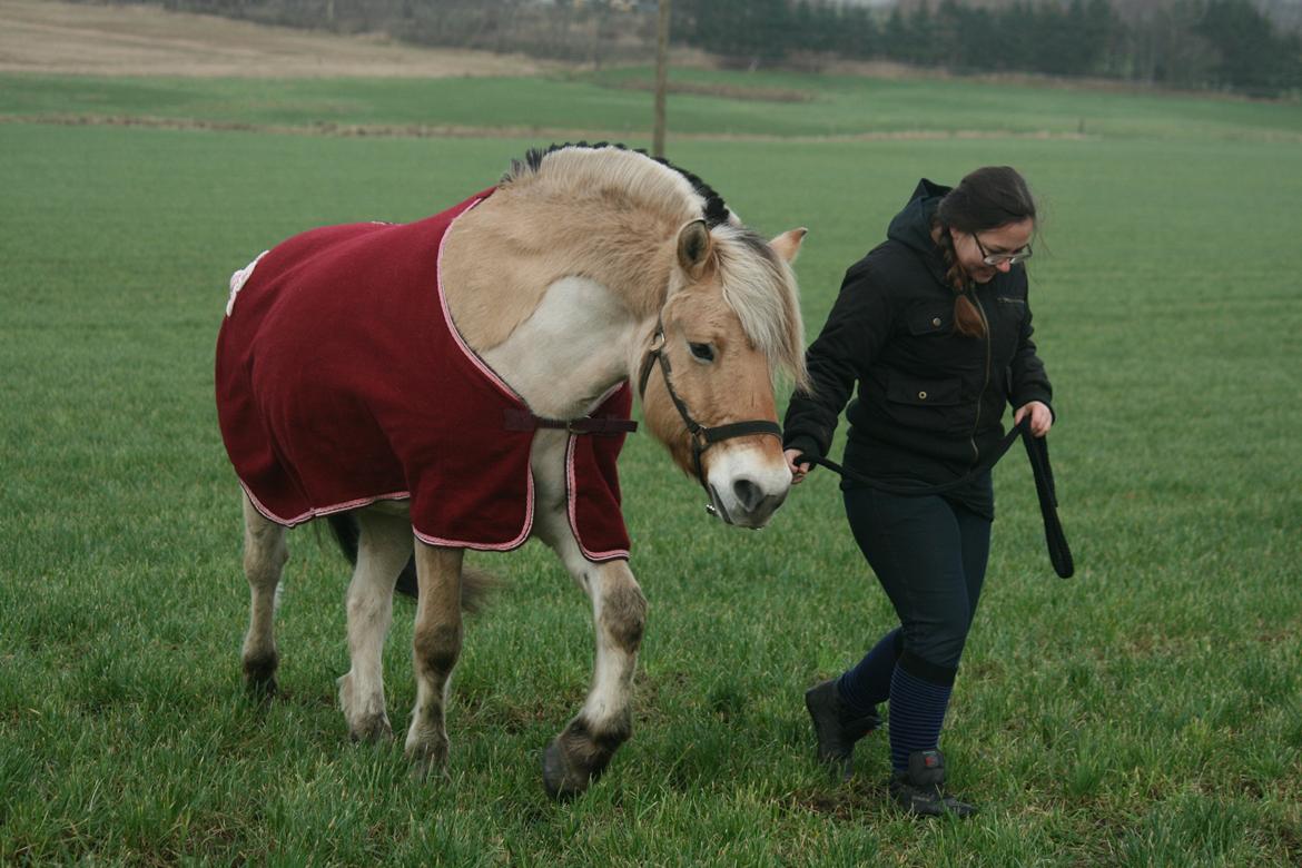 Tjalfe i uldtæppe! :') billede 10