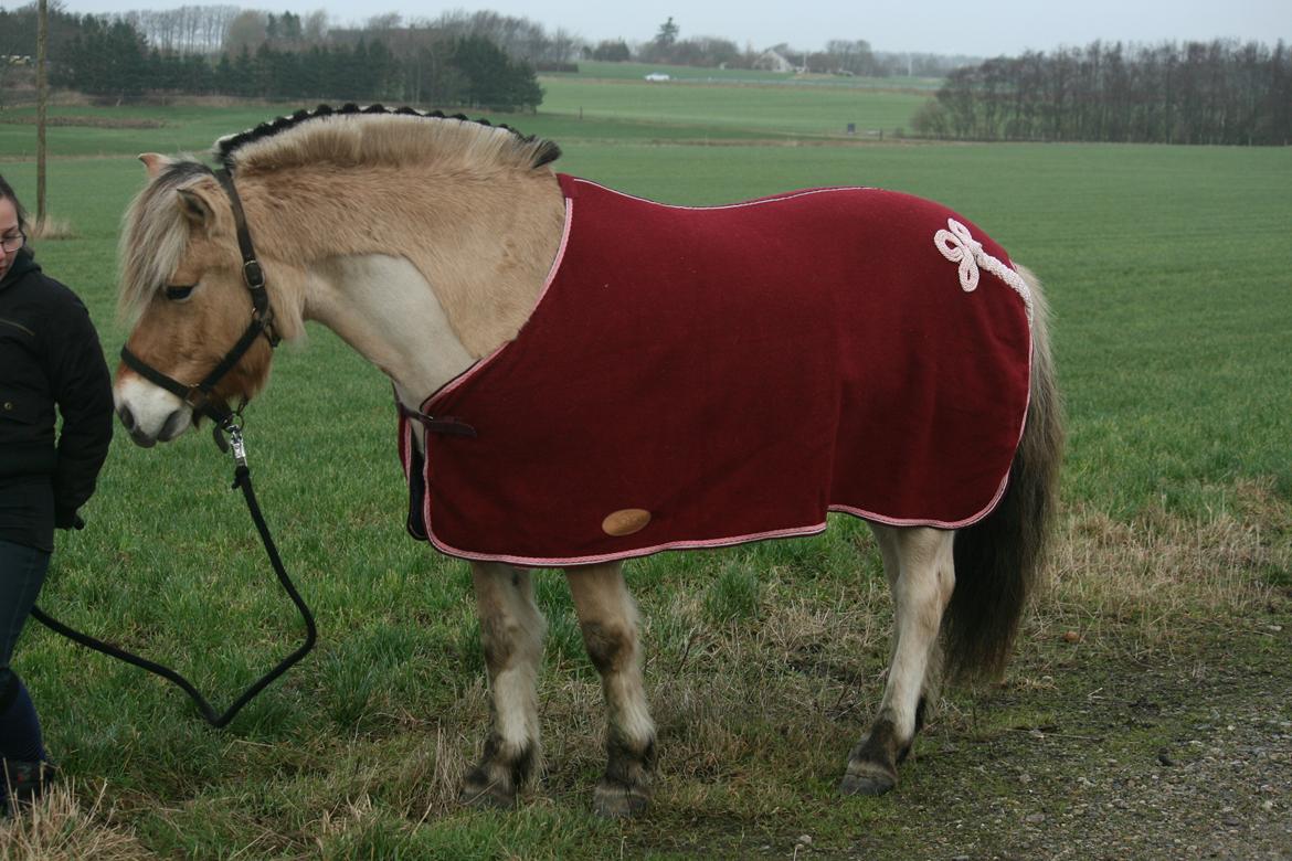 Tjalfe i uldtæppe! :') billede 11