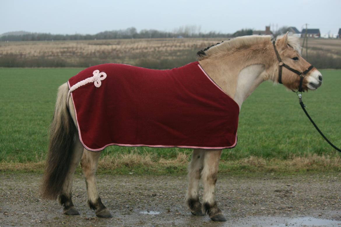 Tjalfe i uldtæppe! :') billede 13