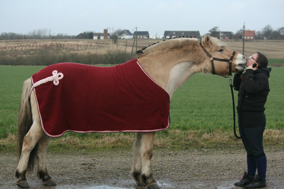 Tjalfe i uldtæppe! :') billede 14