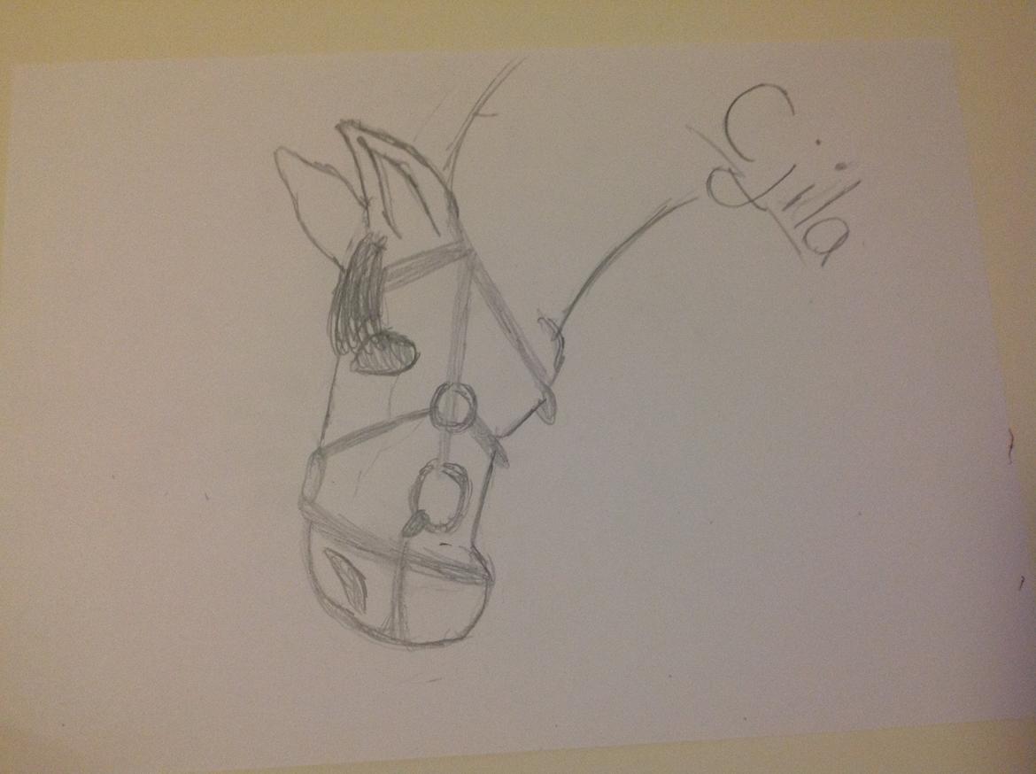 Mine tegninger  - Cjila<3 billede 10