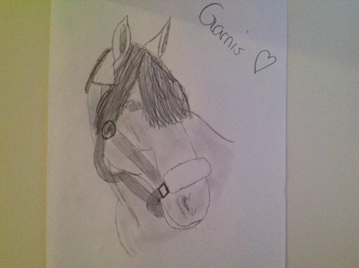 Mine tegninger  - Garnis<3
(Ronja's Part) billede 11