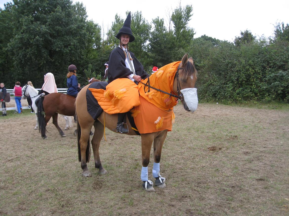 Kostumer jeg (og min lillesøster) har brugt gennem tiderne - "Hermione" på Hipogrif. Der er brugt: orange bomuldsstof, fjer, sort bomuldsstof til kappe, sort fleece til hat og papmache med hønsenet i til næbet. vingerne er syet på sadelunderlag og er holdt oppe at en snor bagom sadlen. billede 2