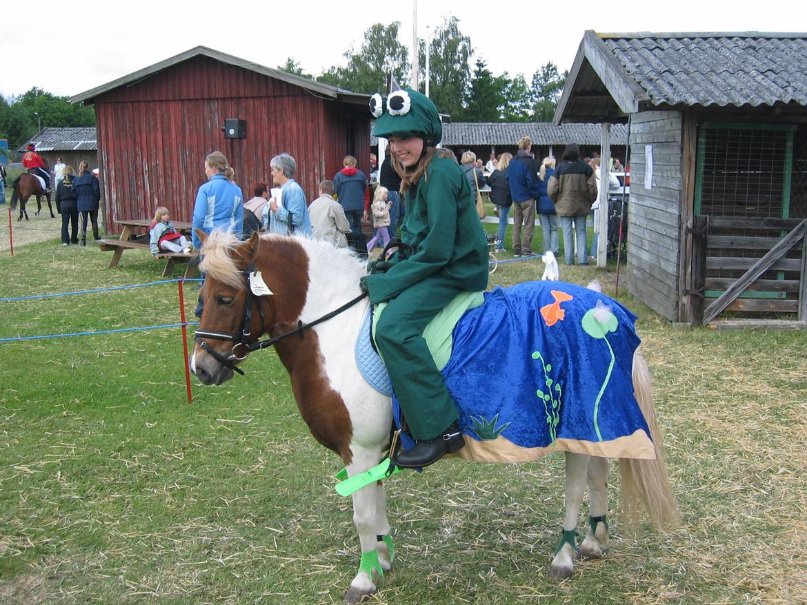 Kostumer jeg (og min lillesøster) har brugt gennem tiderne - Frø på åkande i dam. Der er brugt: grøn bomuldsstof, små grønne svømmefødder til børn, blå velure og "stof-rester" til detaljer i dammen. Åkandebladet over sadlen er lavet som et sadelovertræk med hul til stigbøjlerne.  billede 9