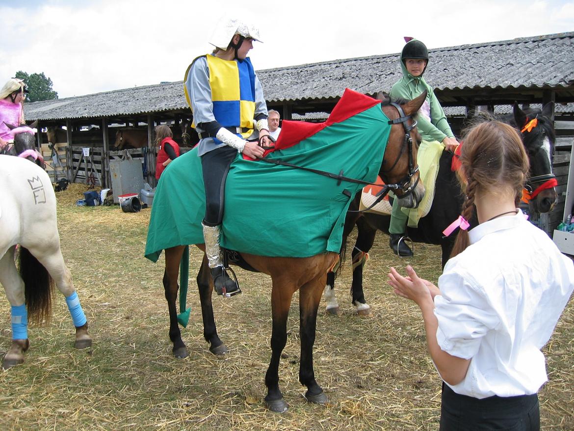 Kostumer jeg (og min lillesøster) har brugt gennem tiderne - Ridder på drage. Der er brugt: gul og blå bomuldsstof, grå tyl til brynje og alufolie til rustning. Grøn og rød bommuldsstof til dragen.  billede 1