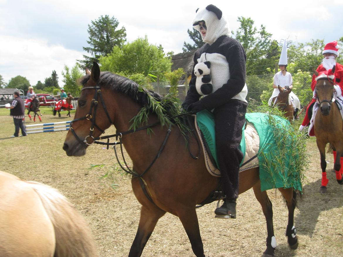 Kostumer jeg (og min lillesøster) har brugt gennem tiderne - Panda. Der er brugt: sort og hvid plysstof, grøn bommuldsstof, ægte bambus og en pandabamse. Det grønne over sadlen er lavet som et sadelovertræk med hul til stigbøjlerne. Bambus'en sys på i hånden... billede 5