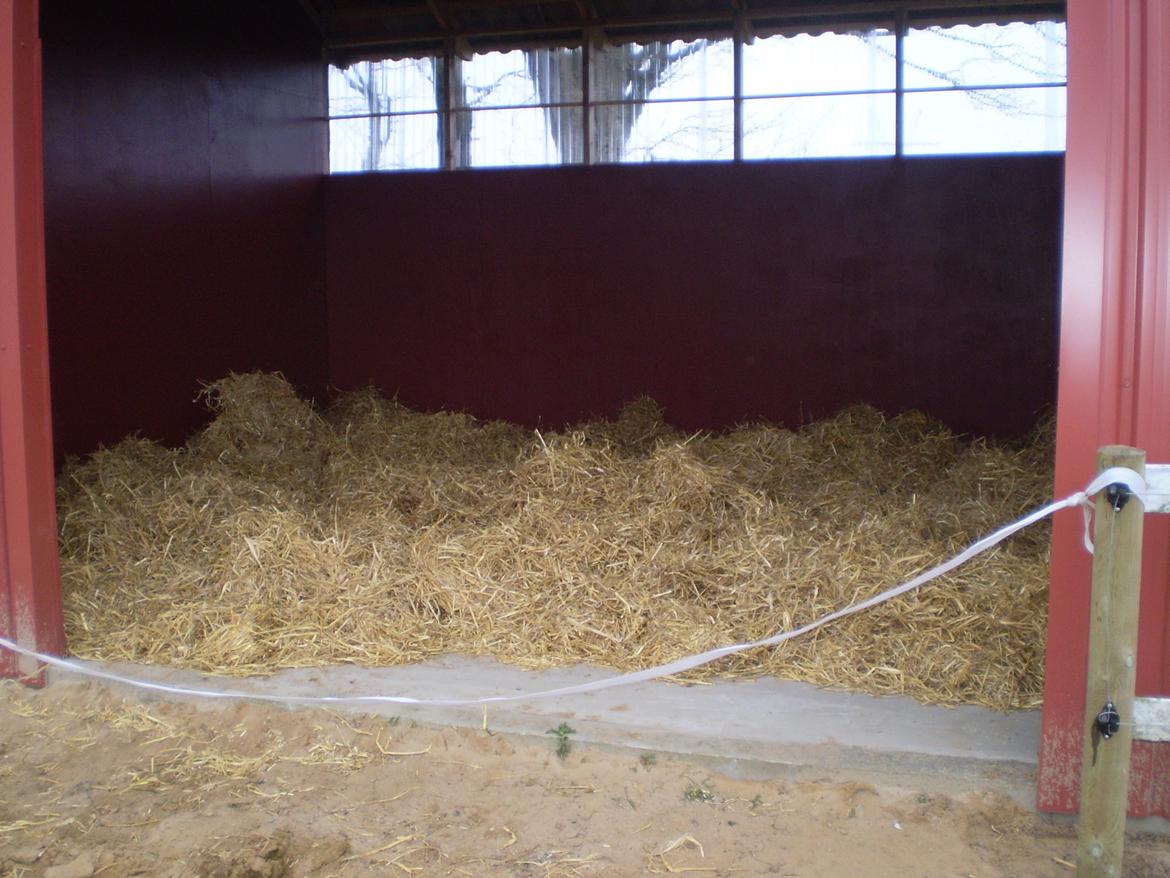 Vores nye heste hus. billede 2