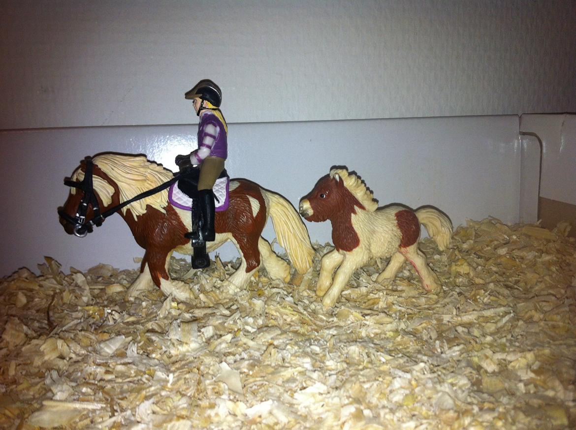 Mine Schleich Heste - Malou (føllet) Køn:hoppe Alder: 1 mdn stg:??? Race:shetter Bruges til: ikke noget
Solgt! billede 8