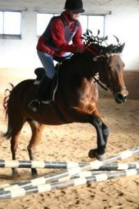 Annebergvej Rideskole billede 2