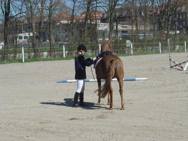 Annebergvej Rideskole billede 3