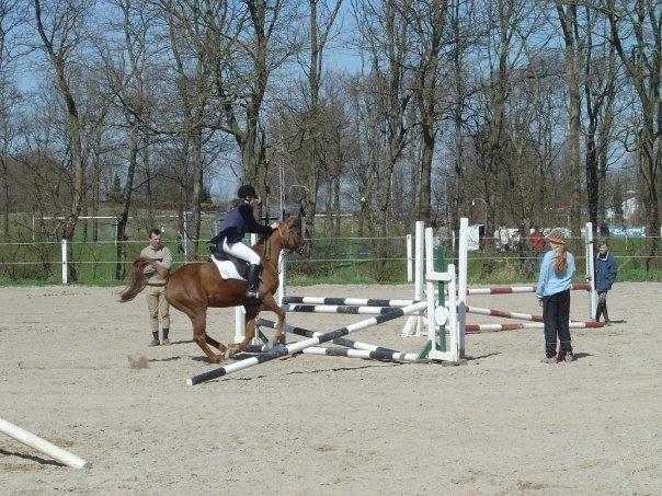 Annebergvej Rideskole billede 4