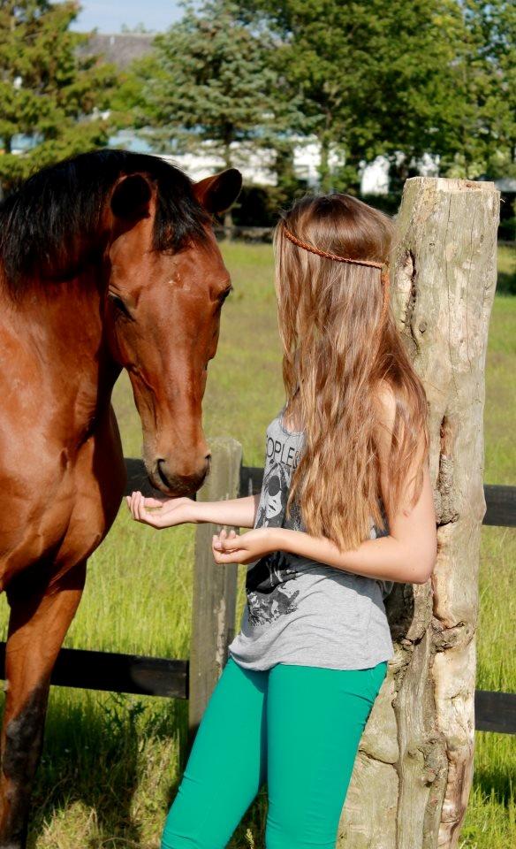 Alle heste jeg har redet i mit liv. <3 - Kamina Burana, Trahkener hoppe. Jeg kan ikke huske hvor gammel hun er, men hun ligger inde under "mine heste". En super dejlig hoppe som jeg red første gang for at hjælpe min veninde med at få den til at gå pænere. Den løb med snuden i vejret, men da den så fik en martingal på begyndte den at reagere bedre. Hesten kommer fra stald skovbo og er en avlshoppe. Jeg ville ønske jeg havde, tid, plads og råd til hende! Hun lærte at springe på en tur med efterskolen (Hun stod på Brøderup Ungdomsskole) hvor vi red military baner og dressur :) Skøn hoppe! Super flot og den rareste, roligste hest jeg har redet! billede 49