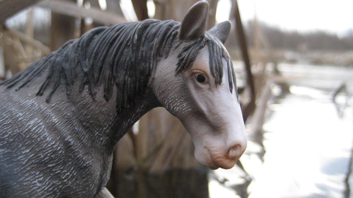 Schleich i naturen - Stone Lady billede 1