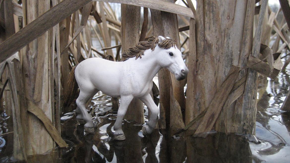 Schleich i naturen - Bambi billede 3