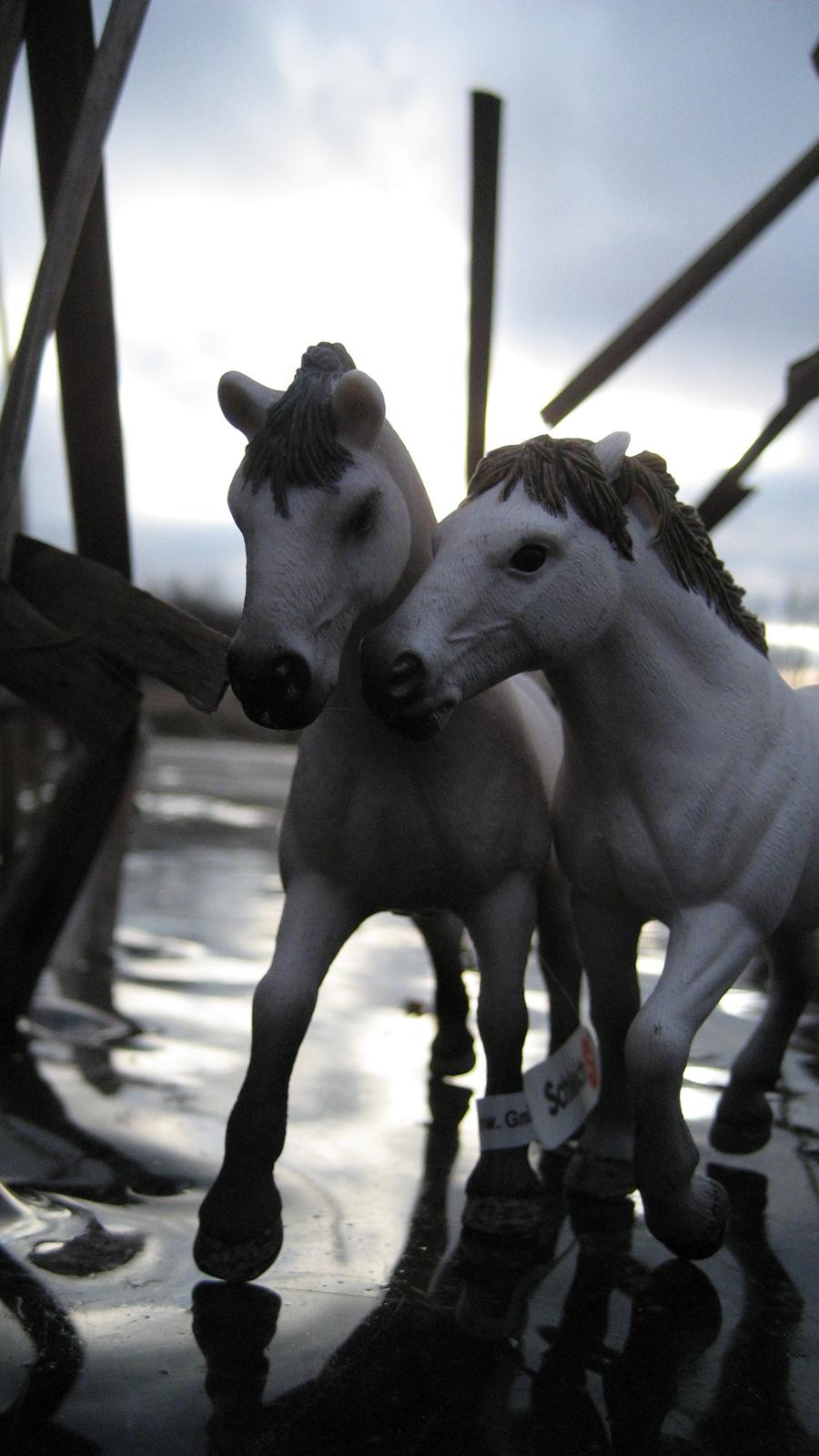Schleich i naturen - Maine Coon og Bambi billede 4
