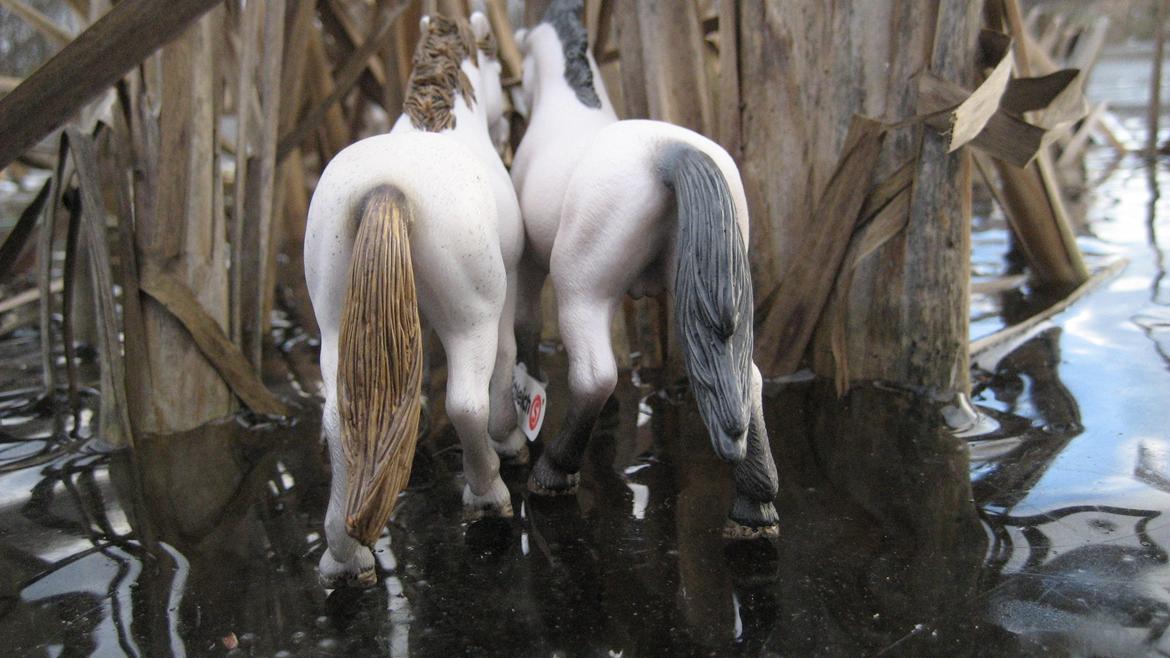 Schleich i naturen billede 5