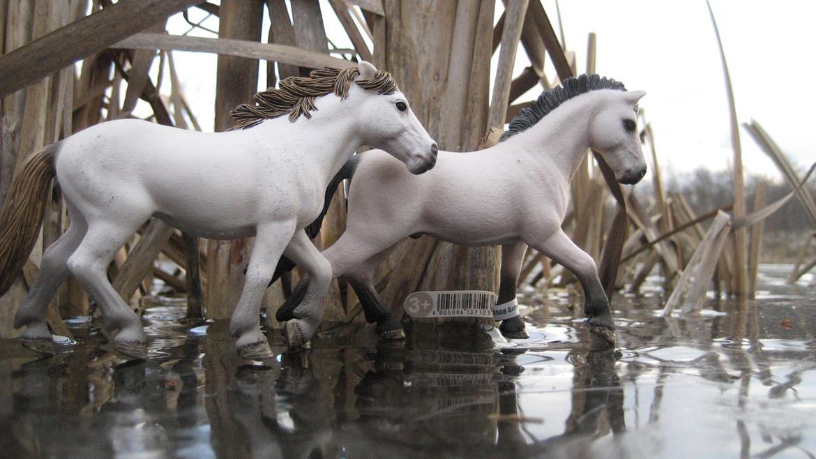 Schleich i naturen billede 6