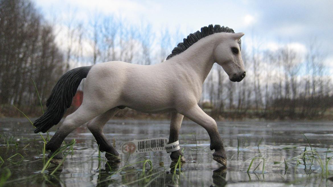 Schleich i naturen - Maine Coon billede 7