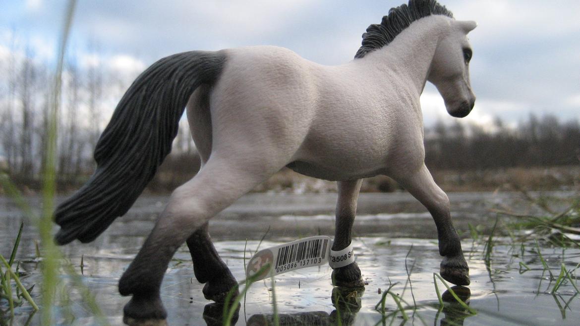 Schleich i naturen billede 8