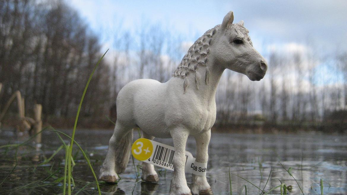 Schleich i naturen - Sigge billede 9