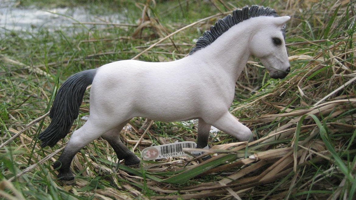 Schleich i naturen billede 10