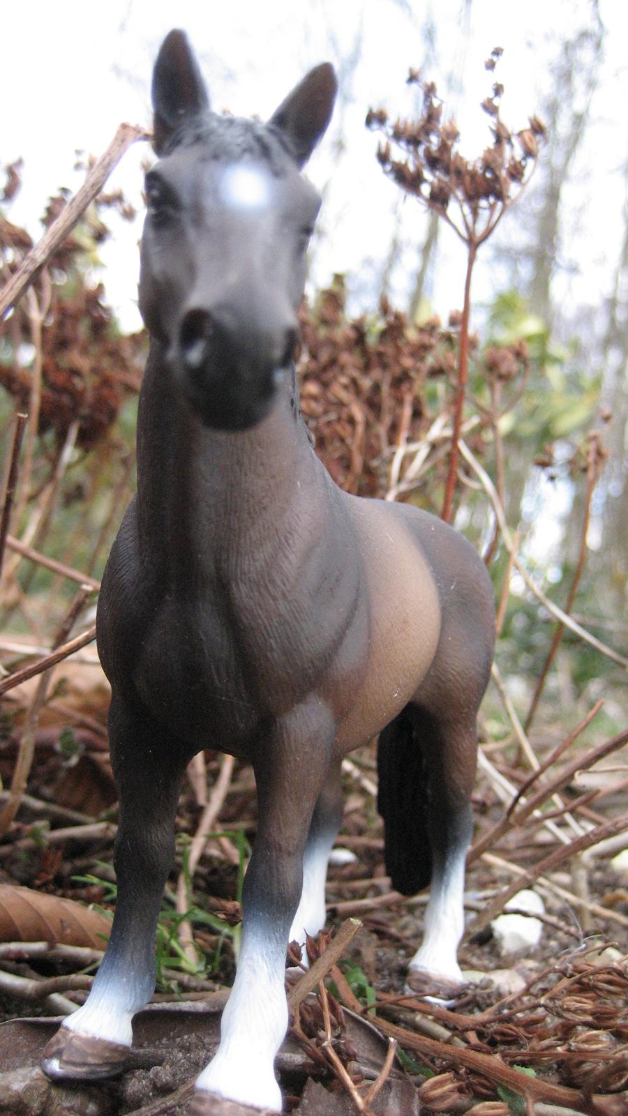 Schleich i naturen billede 12