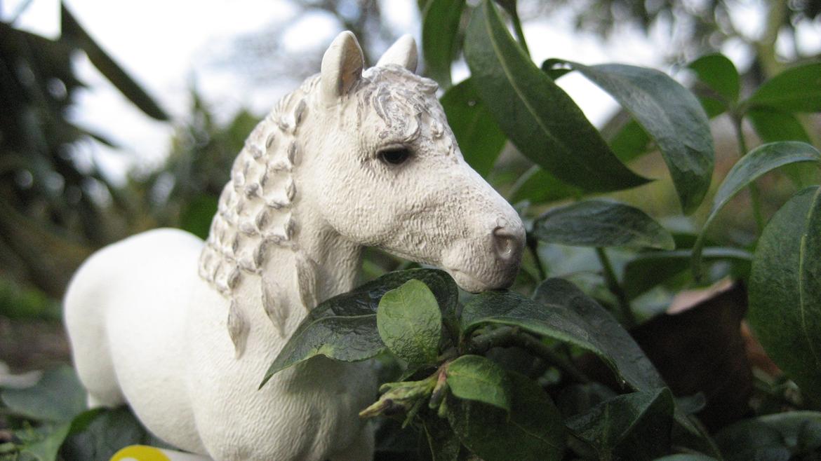 Schleich i naturen billede 13