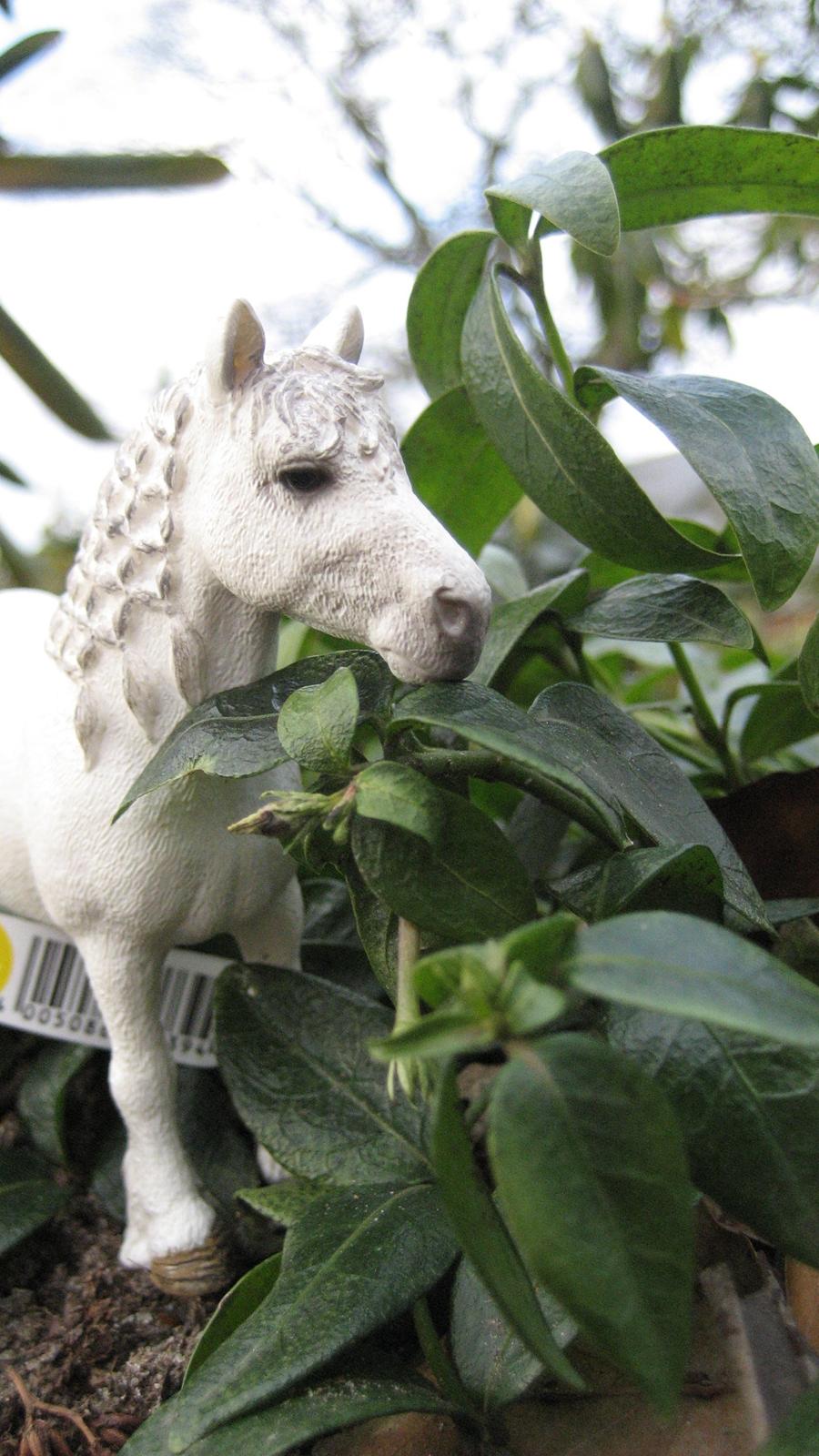 Schleich i naturen billede 14