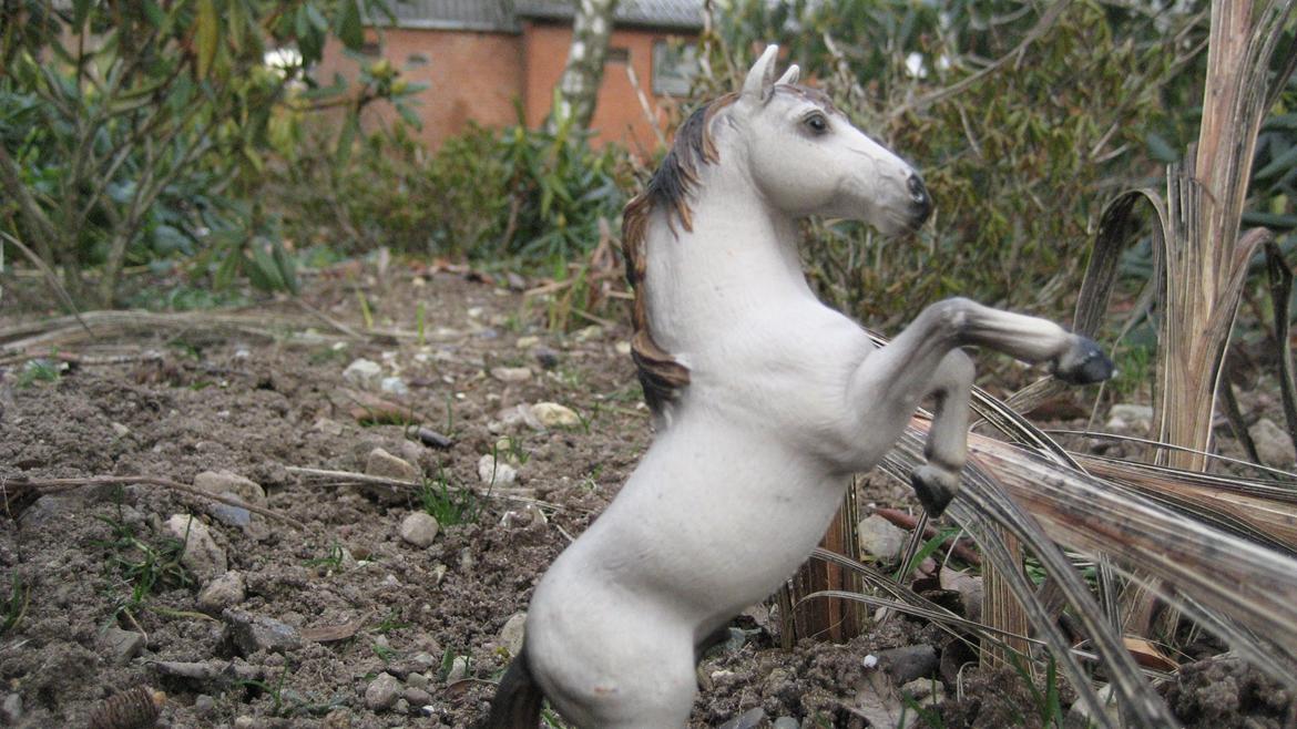 Schleich i naturen - Spirit billede 16