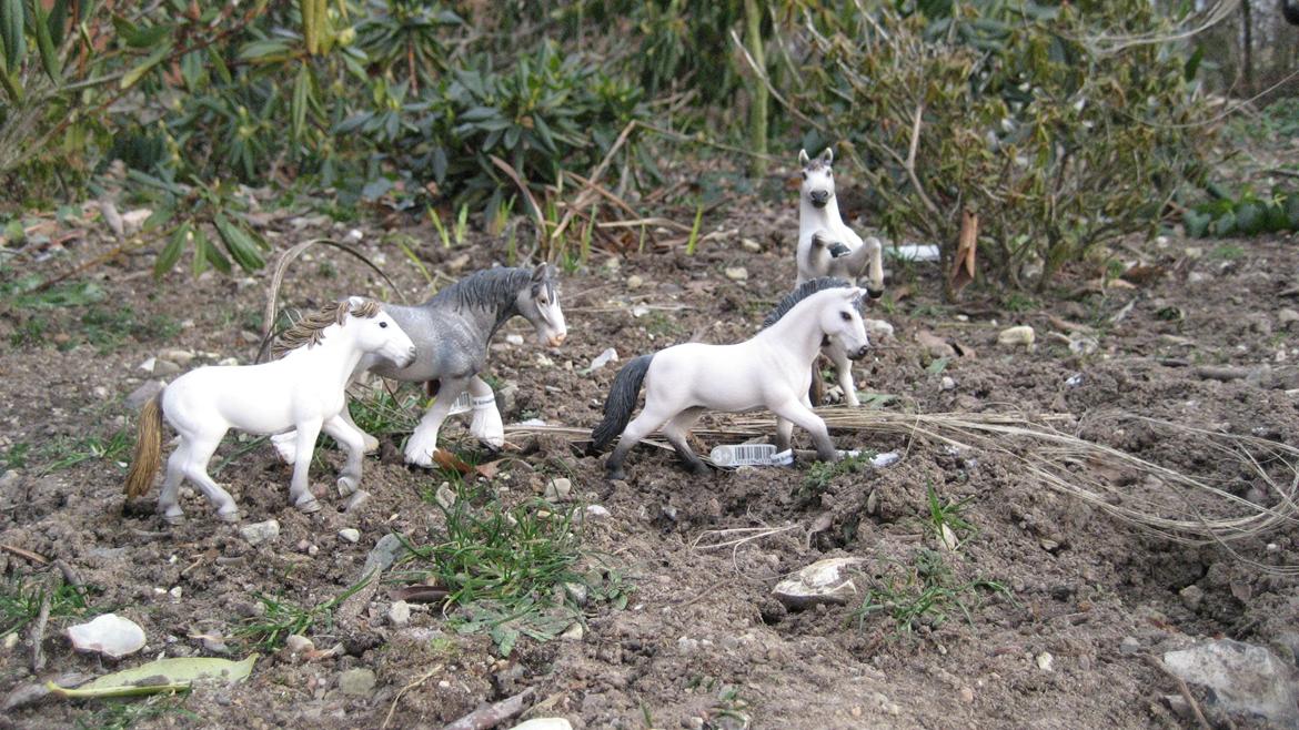 Schleich i naturen billede 18