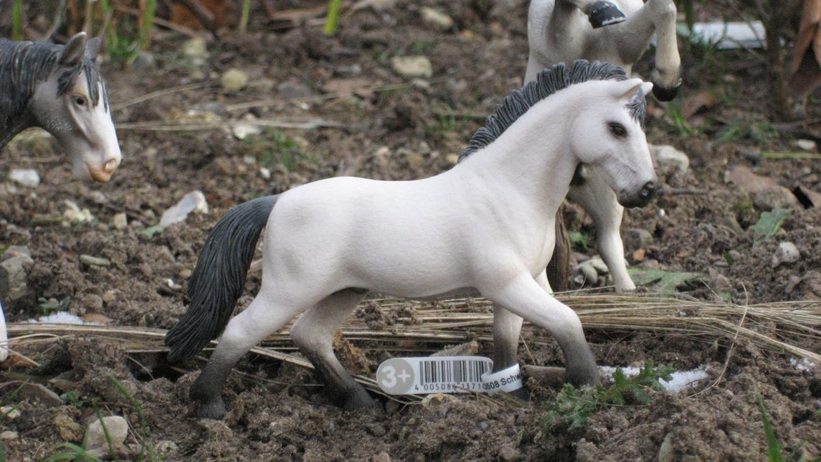 Schleich i naturen billede 19