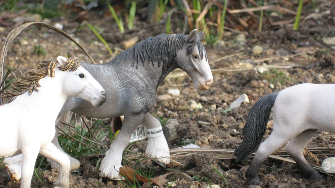Schleich i naturen billede 21