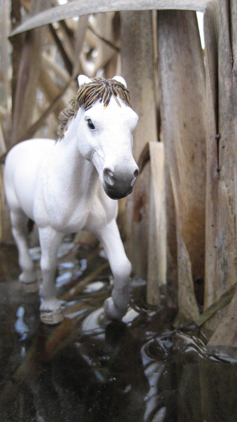 Schleich i naturen billede 23