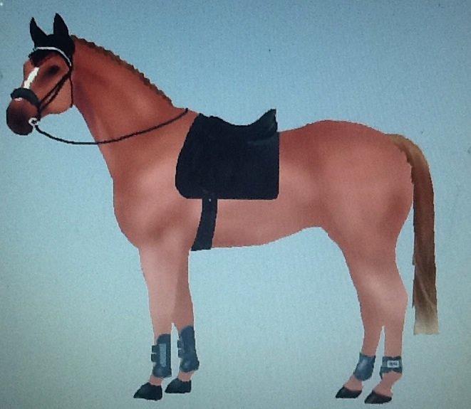 Snafflez horsemaker billede 5