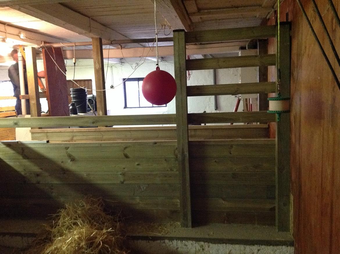 Renovering af stald  billede 6