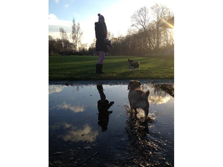 {{currentPhoto.altText}} billede {{currentPhoto.number}}