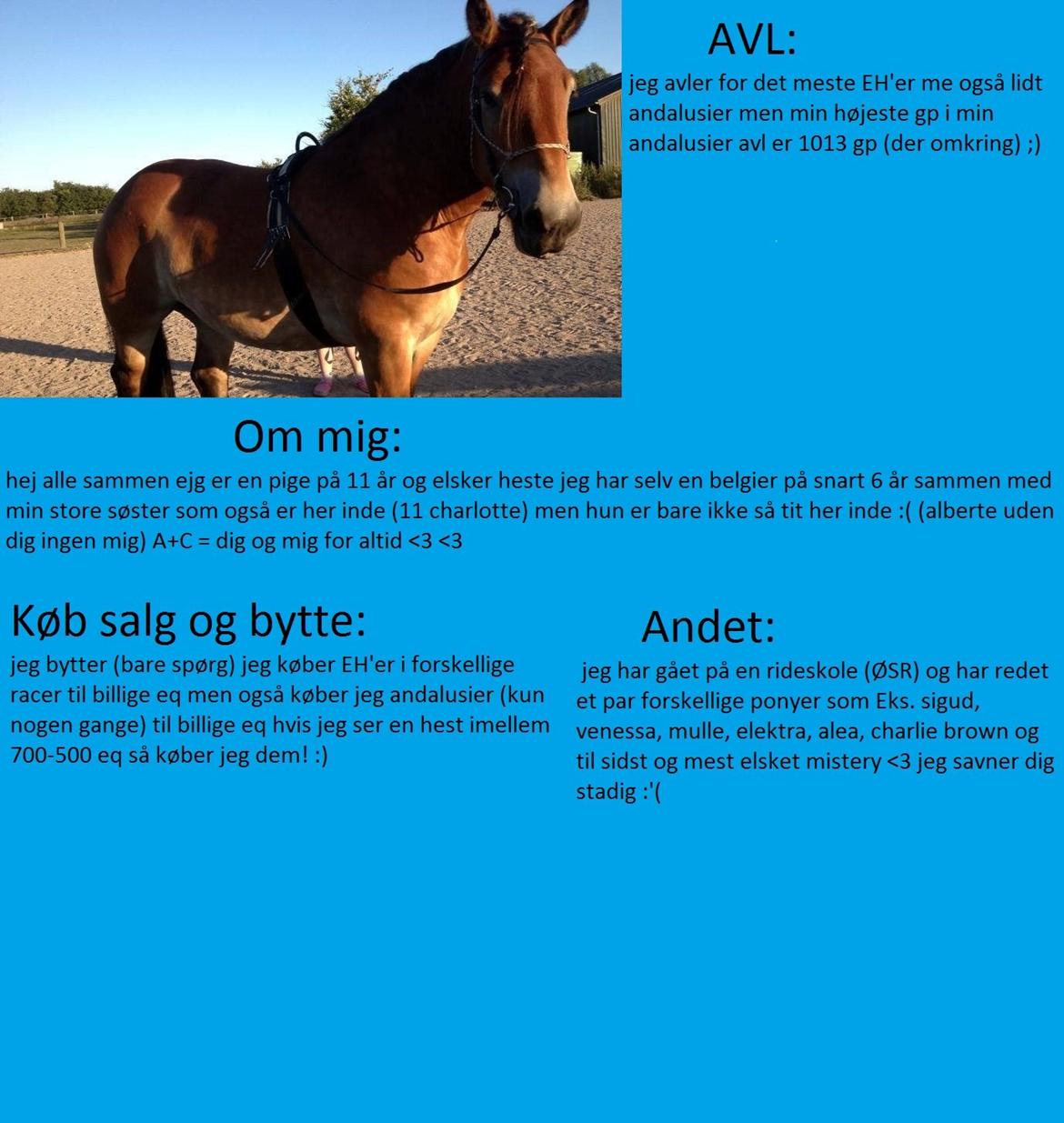 Layout til howrse billede 1