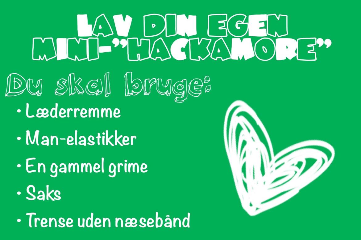 Guide - Lav din egen mini-"hackamore" billede 1