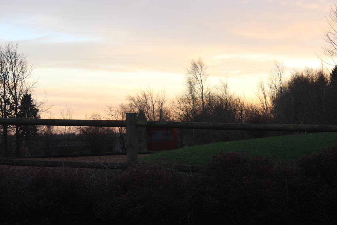 Stald Tougaard billede 7