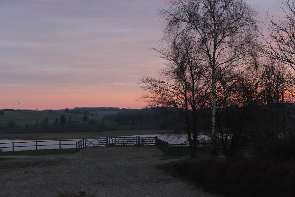 Stald Tougaard billede 11