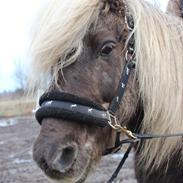 Sidste dag på Stigur:´(