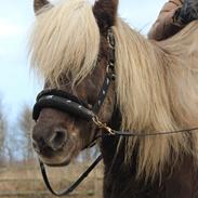 Sidste dag på Stigur:´(